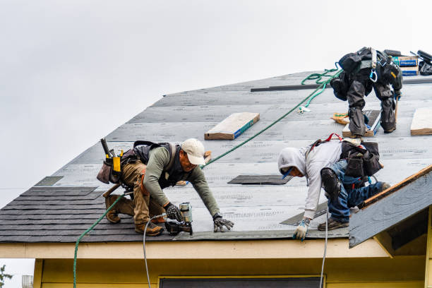 Professional Gutter Installation technician working in Toledo, WA